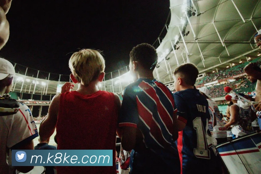 凯发K8平台生态图